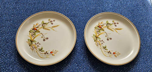 MARKS & SPENCER (M&S) ‘HARVEST’ DINNER PLATES x4 Excellent condition for age. - Picture 3 of 15