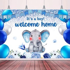 I'm a Boy Gender Reveal Backdrop for Baby Shower Elephant Party Decor