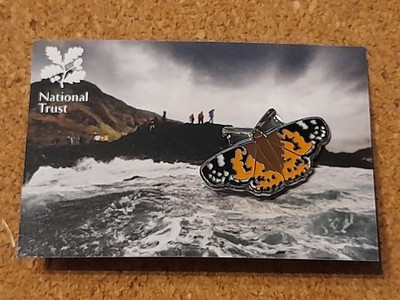 National Trust GIANTS CAUSEWAY Schmetterling Charity Pin Anstecker