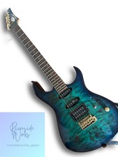 Ibanez E-Gitarrenkörper selten