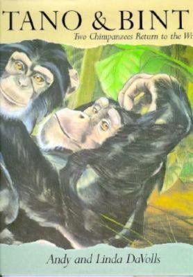 Tano & Binti: Two Chimpanzees Return to the Wild by Linda Davolls