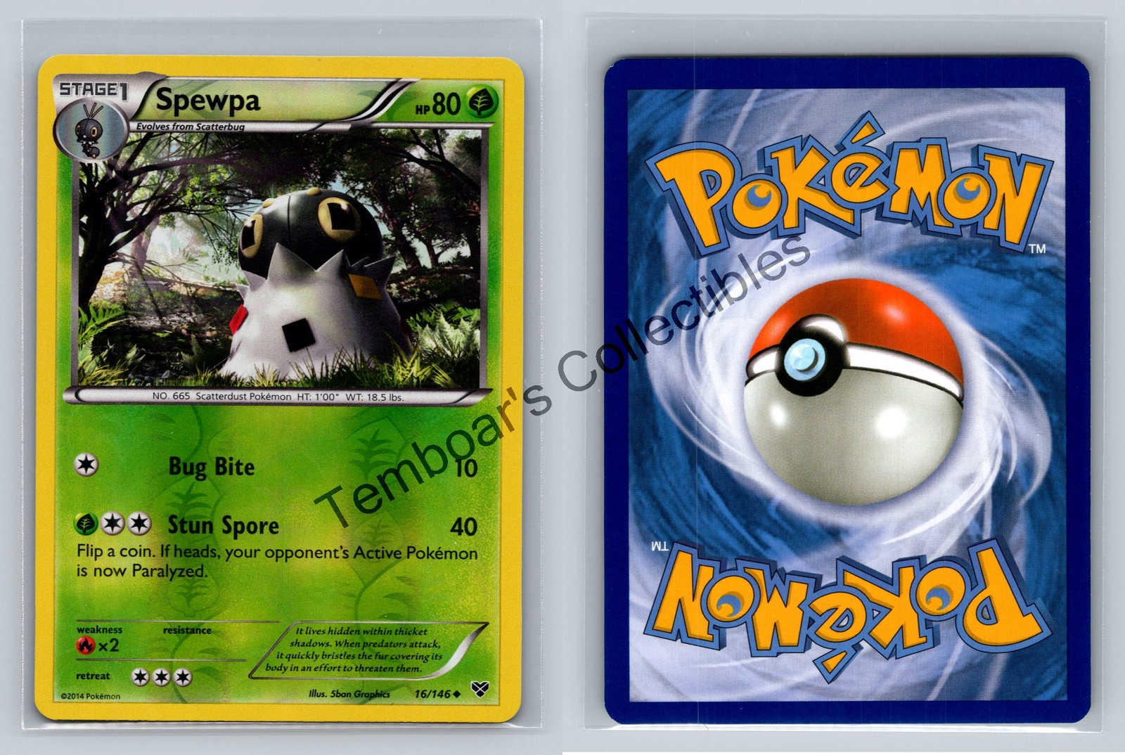 2014-2016 Pokemon X & Y Series ✨ Excellent Reverse-Holos ✨ MASTER THE SETS