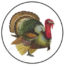 REALISTIC TURKEY THANKSGIVING ENVELOPE SEALS LABELS STICKERS PARTY FAVORS