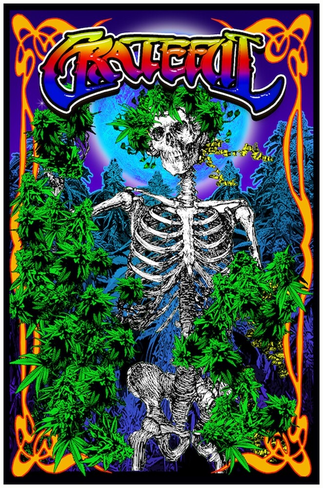 GratefulDead グレイトフルデッド ブラックライトポスター　希少品 GRATEFUL SKELETON - BLACKLIGHT POSTER - 23X35 FLOCKED 53344 | eBay