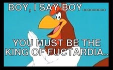 Boy I Say You Must Be The King Of Fuctardia FogHorn Cartoon -MAGNET