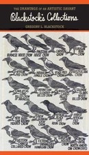 Blackstock's Collections: The Drawings of an Artistic Savant - Paperback - GOOD
