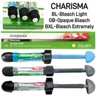 KULZER CHARISMA Dental Composite Resin Light Cure OB/BL/BXL Super White
