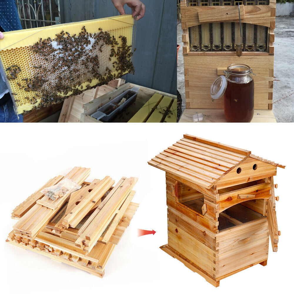 Auto Beehives Cedarwood Beekeeping Bee hive Brood + 7 Bee Frames + 2 Super boxes