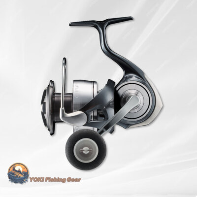 Daiwa 24CERTATE LT5000D-CXH