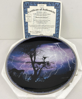 Native American Collector Plate ''Homeward Journey'' - Celestial Spirits-Brad.Ex