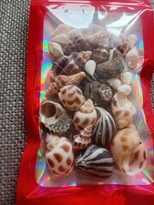 Shells for hermit crabs mixed pack, 10-30 mm+, 30+ Shells 