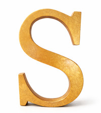 Pottery Barn Decorative Gold Gilt "S" letter Initial L 10" Wall Decor