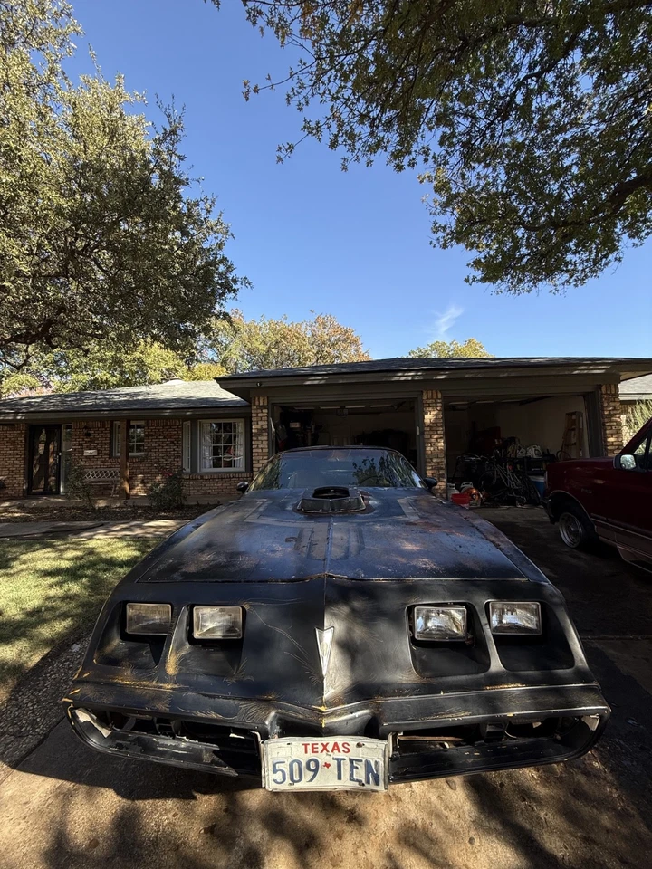 1981 Pontiac Trans Am  - Изображение 4 из 4