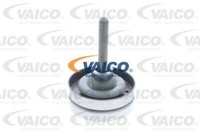 Vaico V10-3424 Umlenk-/FüHrungsrolle, Keilrippenriemen FüR Seat Skoda VW