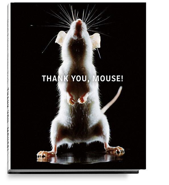 Thumbnail - Thank You, Mouse Hans-jürgen Koch (u. A.) Buch 96 S. Deutsch 2020