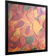 	11x11 Picture Frame for Wall or Album Black 1-Pack	