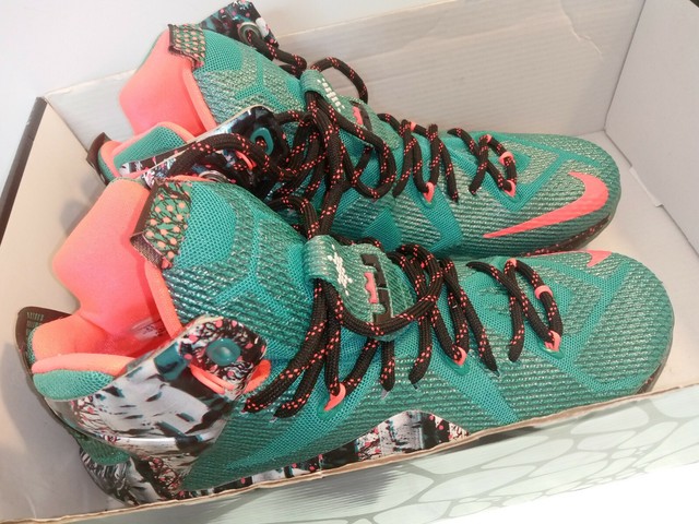 lebron 12 xmas akron birch