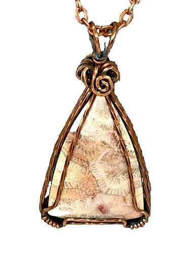 Fossil Vintage Rare,1995,BW-6709,sea Shells, Collection  display picture 2