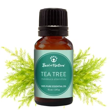 Tea Tree Essential Oil 100% Pure - Natural - Skincare - Soap/Candle DIY - BULK