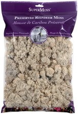  21722 Reindeer Moss Preserved, Natural, 8oz 200 cubic inch 