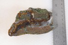 Needle Peak Texas 7.5 oz. Sagenite Agate lapidary faced rough lot B — photo 9