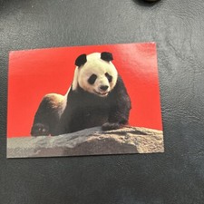 B30s World Famous San Diego Zoo Animals Of The Wild 1993 #101 giant panda stand