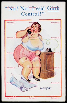 DONALD MCGILL Umfangskontrolle Fat Lady Humor alte Postkarte