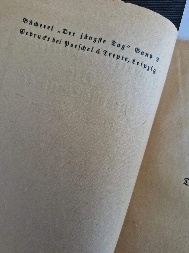 Walter Hasenclever Das unendliche Gespräch Kurt Wolff Verlag Jüngste Tag 2 - Bild 4 von 4
