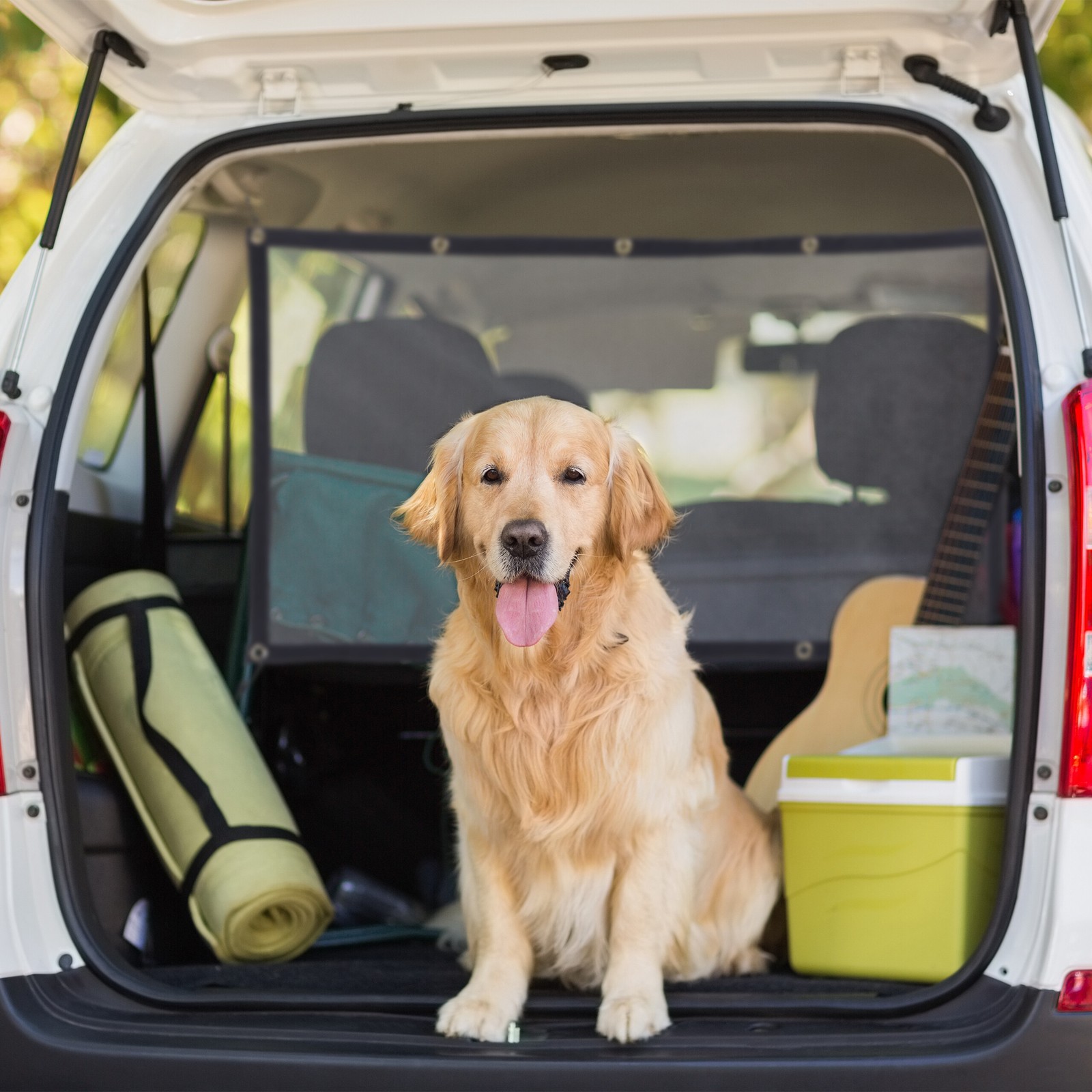 Rete Portaoggetti Auto Barriera di Sicurezza per Cani Organizer Bagagliaio - Miniatura 3