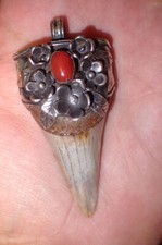 Fossil Mako Shark Tooth Pendant with Sterling silver and coral NICE 2.5 inch