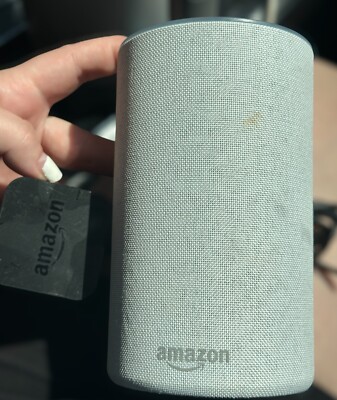 Amazon Echo (2nd Generation) Smart Assistant - Sandstone Fabric SMALL STAIN