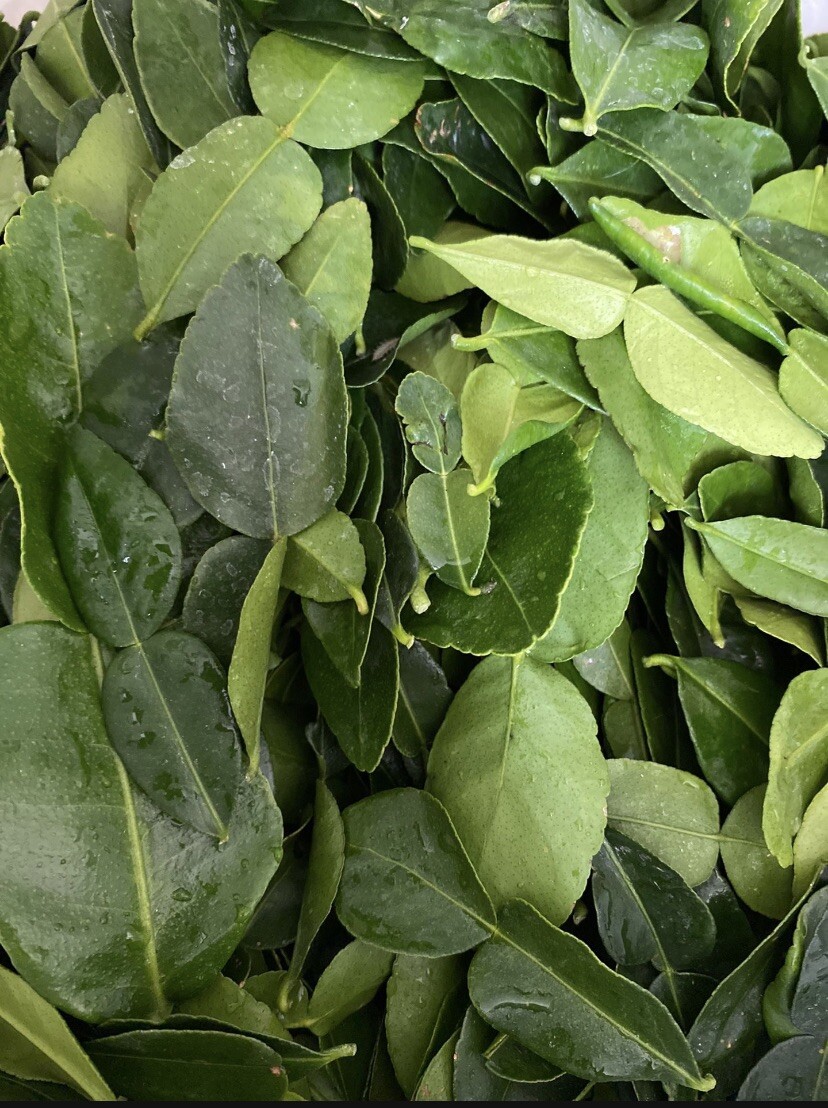 5 Oz FRESH Kaffir Lime Leaves Southeast Asian Herbs ORGANIC