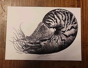 Rare Shawn E. Russell Signed Chambered Nautilus 5" X 7" Art Print Sea Ocean Life