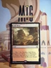 Arid Mesa 🔥 NonFOIL 🔥 MTG NM Near Mint (229) Modern Masters 2017
