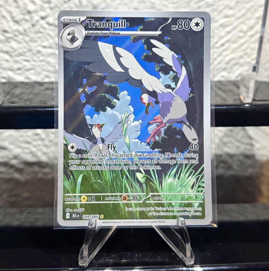 Pokemon TCG Tranquill 149/086 Sv: Black Bolt NM