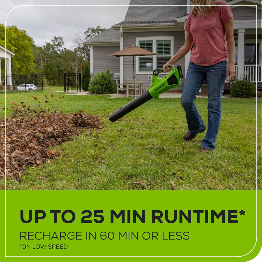 Greenworks POWERALL 24V 2Ah Cordless 320FM / 90MPH Axial Leaf Blower Kit