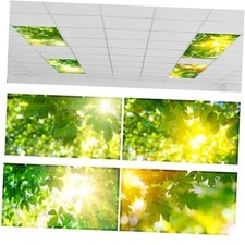  Pack of 4 Fluorescent Light Covers for Ceiling Lights, 4 x 2 Ft, Fresh Leaves
