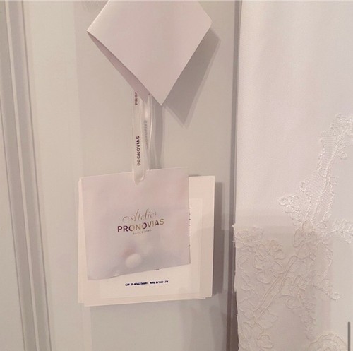 Pronovias Vicenta Wedding Dress Custom Long Sleeves By Pronovias  size 0 $4000 - Picture 9 of 16