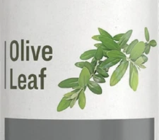 OLIVE LEAF - Natural Cardiovascular & Immune System Support Extract Tincture USA