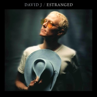 David J Estranged (CD)