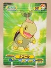 Turtwig Pokemon Diamond & Pearl Bromides Card 001 Anime Japan Z666