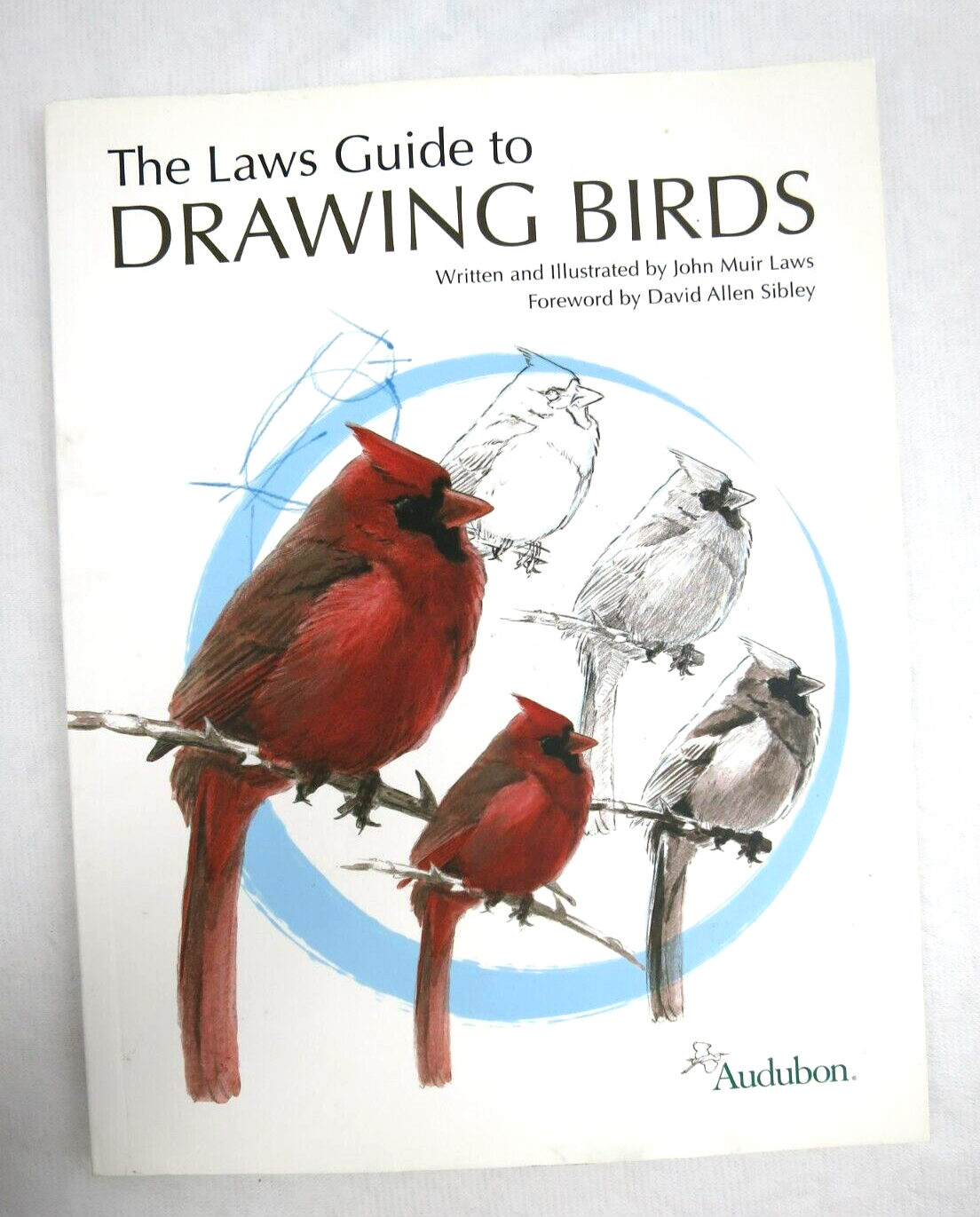 Speed Drawing Birds • John Muir Laws