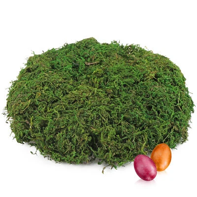 COM-FOUR® 109,95 €/kg 200g grünes DIY Bastel-Moos für Osterkörbchen - echtes Deko-Moos