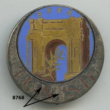 Badge Large Units, Cdt. Superior of the Troops of Tunisia, (D.Ber.)