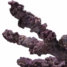 Life Rock "Belize Branch" (20 lb) -  Caribsea