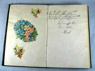 Poesie- / Erinnerungs- / Andenken-Album, frühes Jugendstil, um 1897-1900