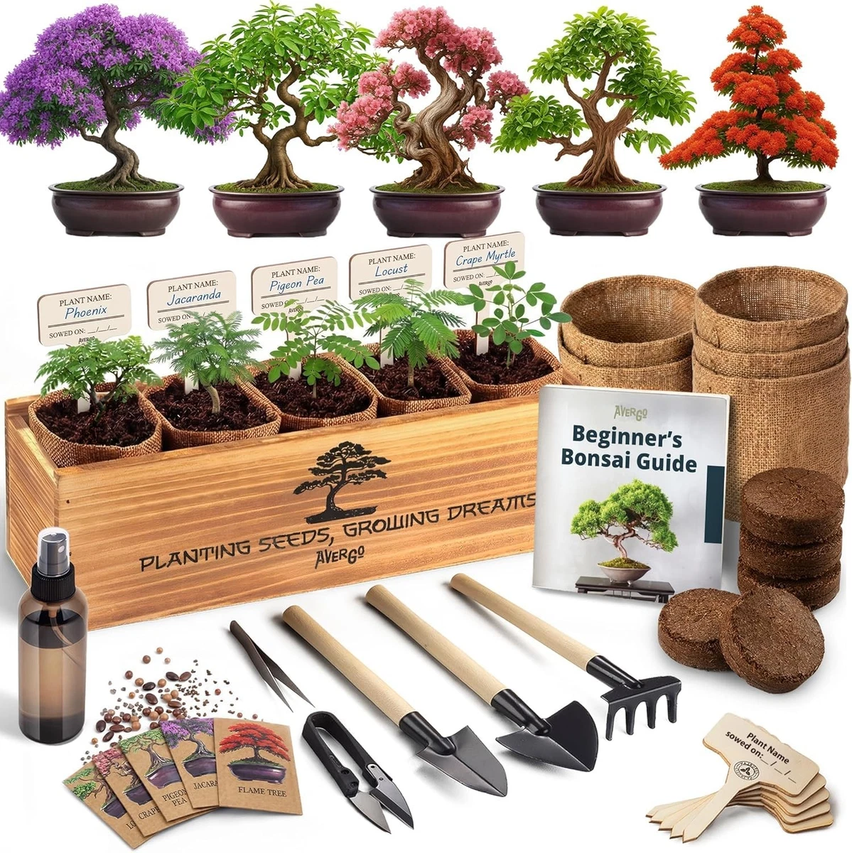 Indoor Finished Bonsai Trees for sale | eBay