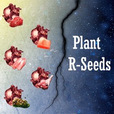  ARK Survival Ascended PvE PC/XBOX/PS5 Plant ...