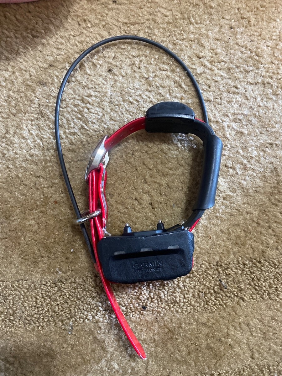 tt15 tracking collar