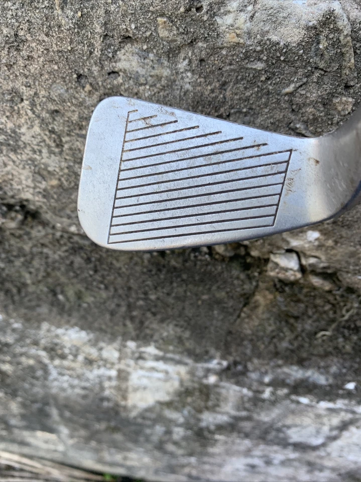 Arnold Palmer The Axiom 6 Hierro Rígido Flex Varilla Grafito Gamuza Avon Grip Foto 3 de 4